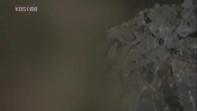 Товарищи 10 серия