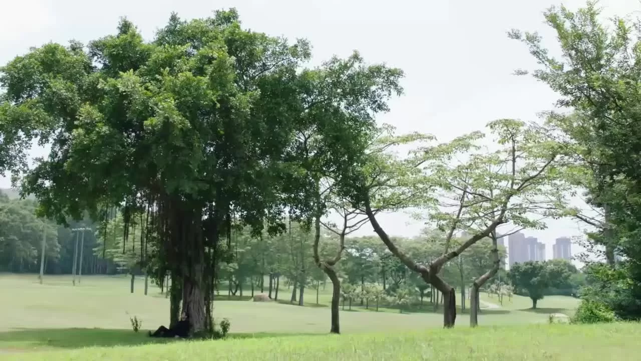 Мой удивительный парень (2016) 1 серия