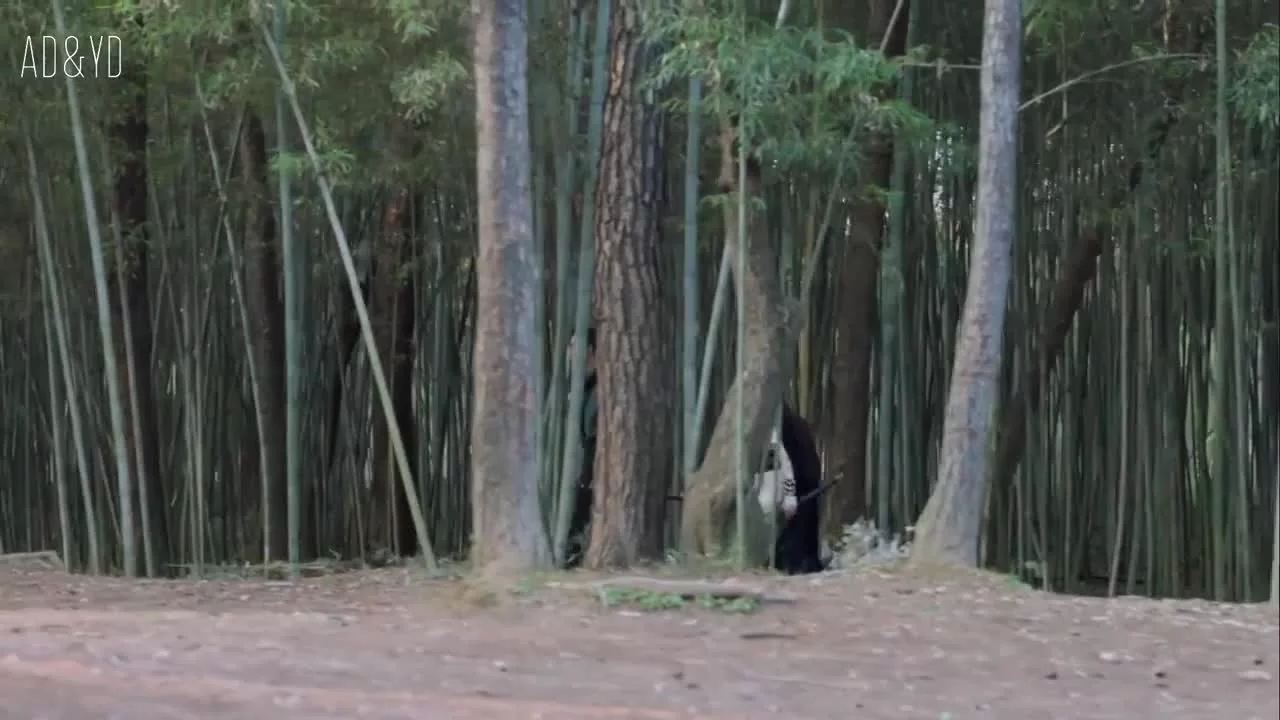 Женщина короля 5 серия