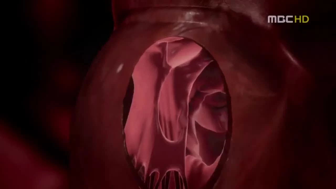 Новое сердце 9 серия