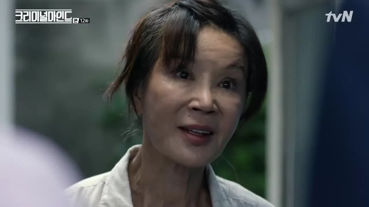 Мыслить как преступник (2017) 12 серия