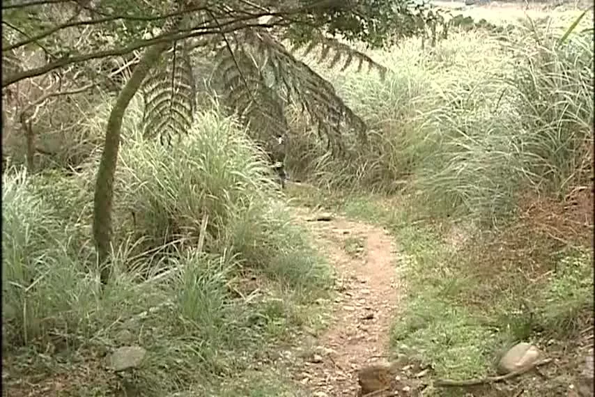 Дьявол рядом с тобой 13 серия