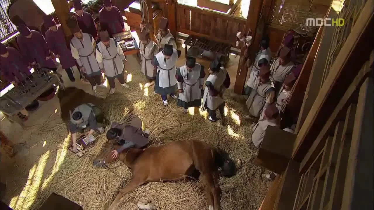 Ветеринар (2012) 7 серия