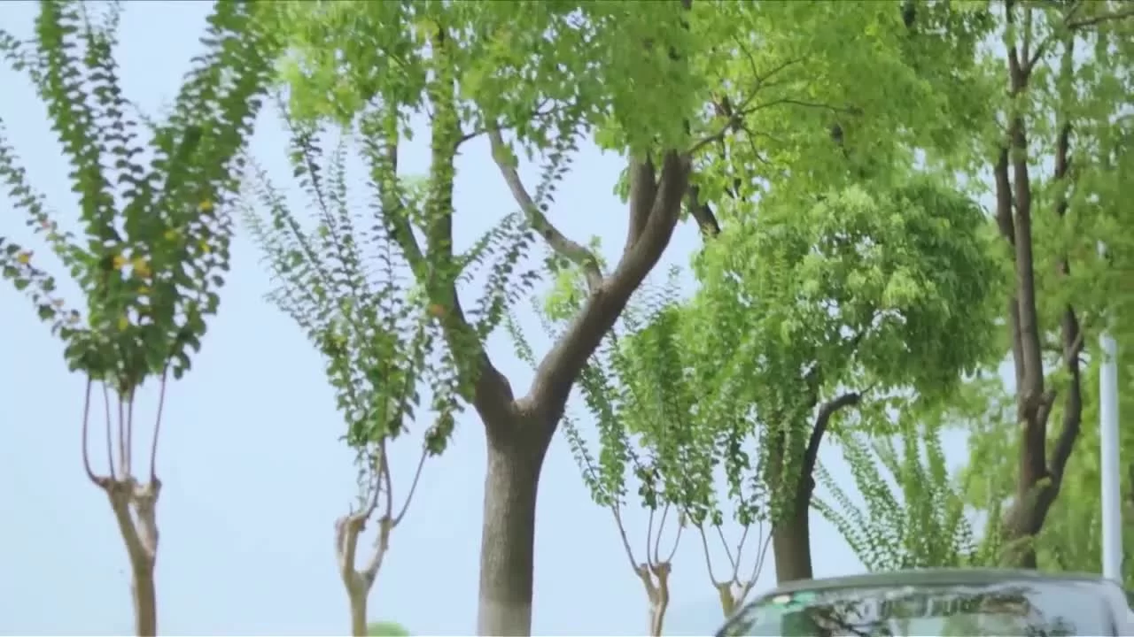 Летнее желание (2018) 25 серия