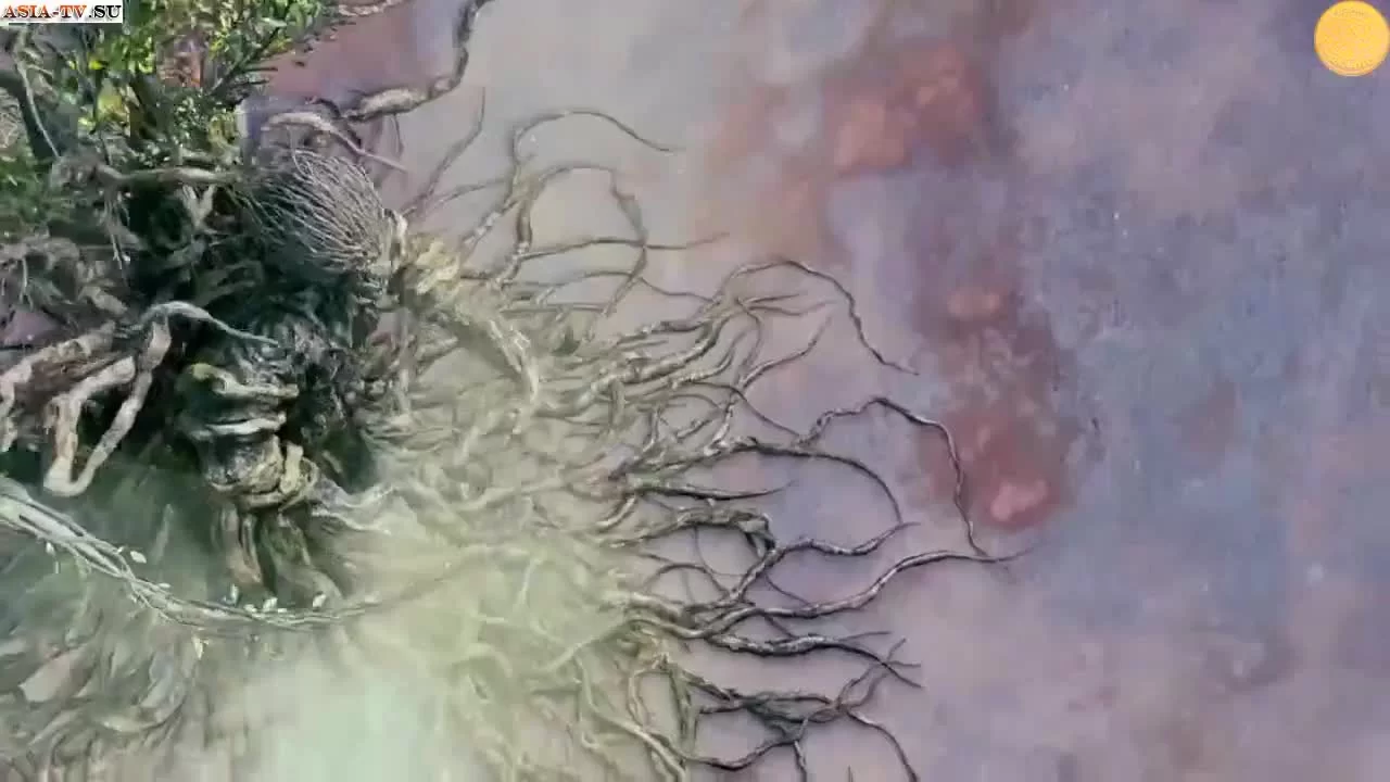 Легенда о древнем мече 26 серия