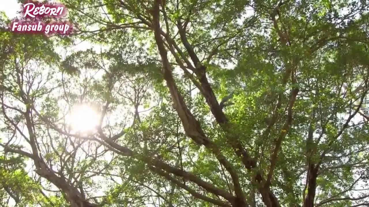 Идеальное соревнование 18 серия