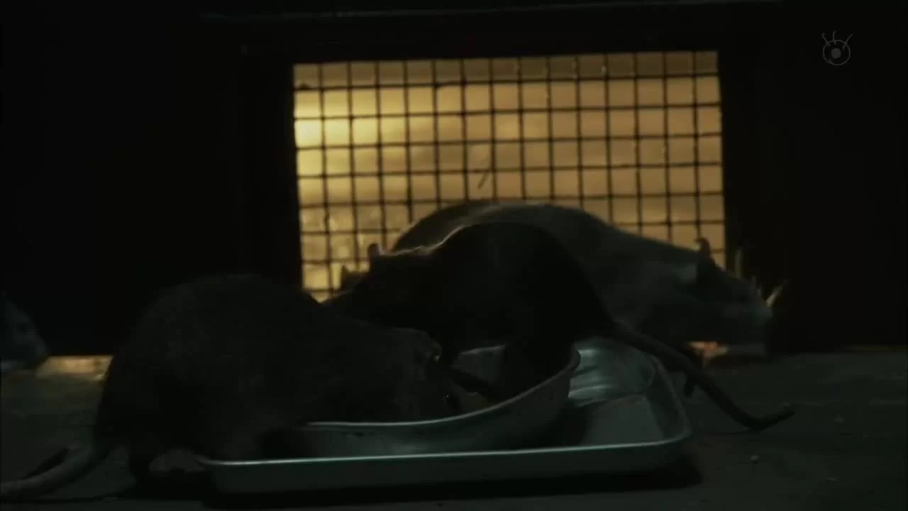 Граф Монте-Кристо: Великая месть (2018) 2 серия