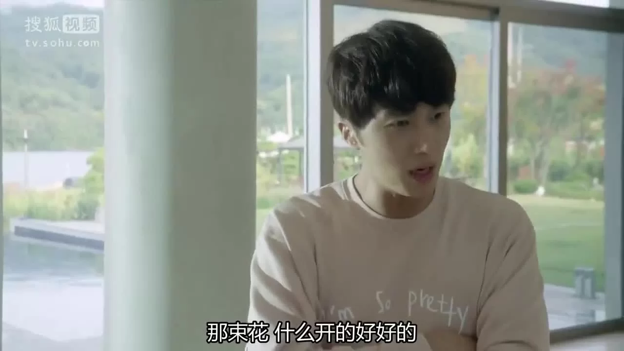 Высококачественная любовь (2015) 14 серия