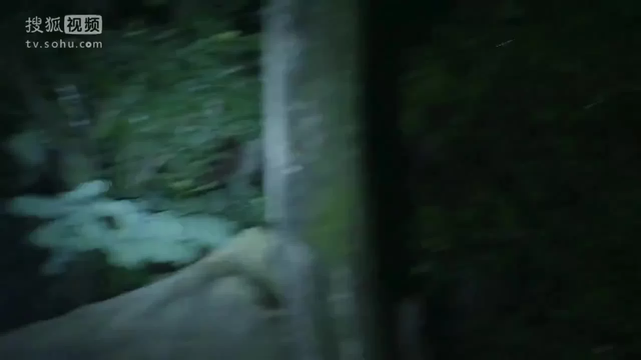 Высококачественная любовь (2015) 3 серия