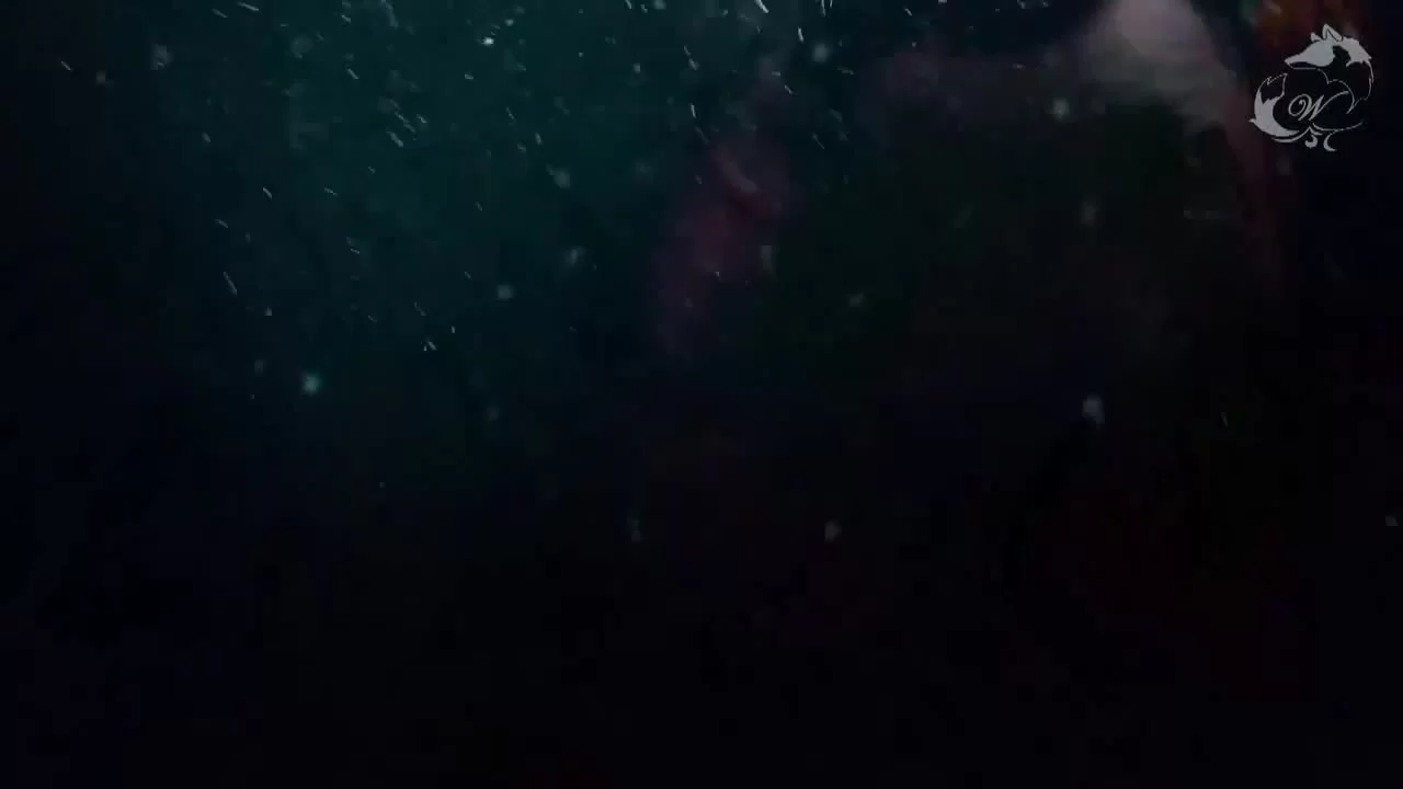 Тяньцзиньская загадка (2017) 11 серия