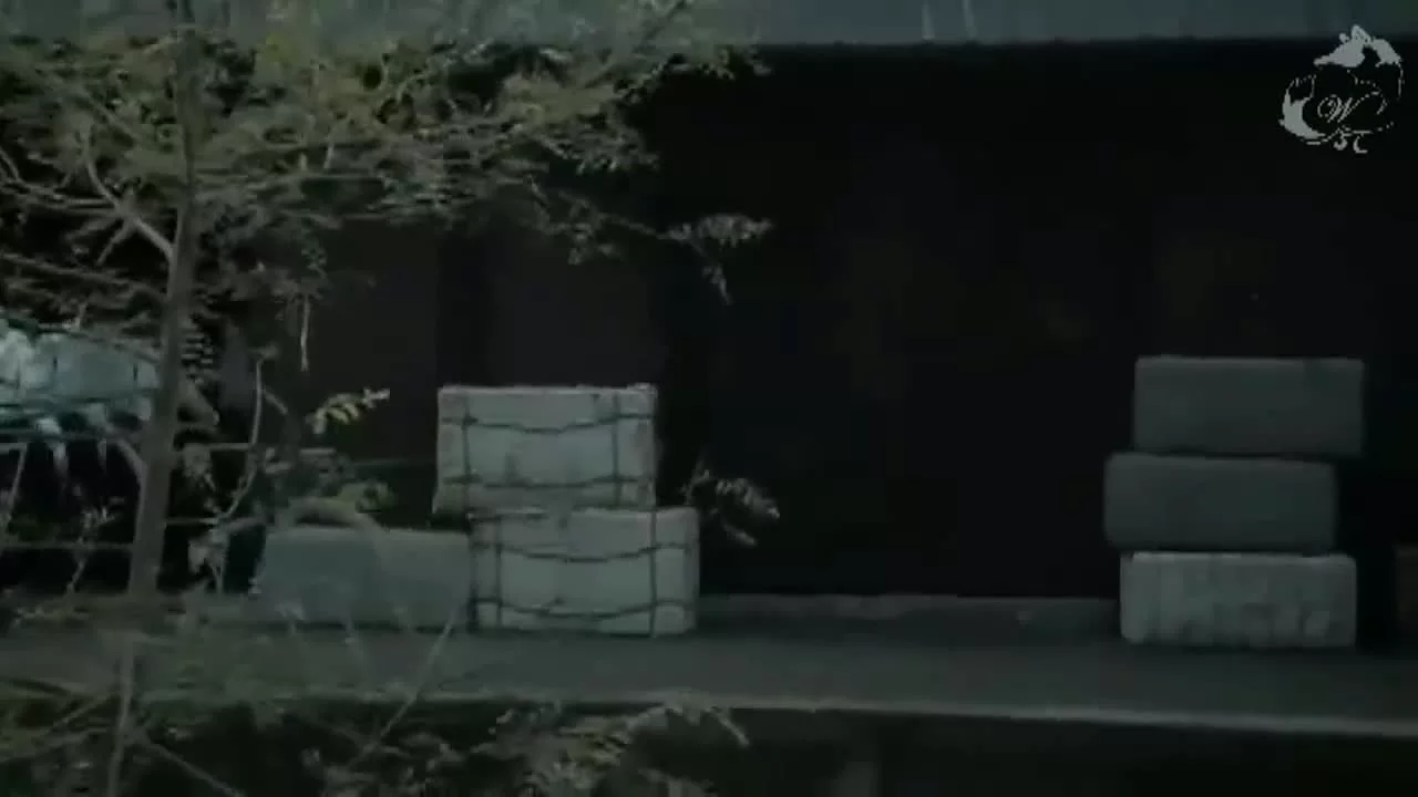 Тяньцзиньская загадка (2017) 17 серия