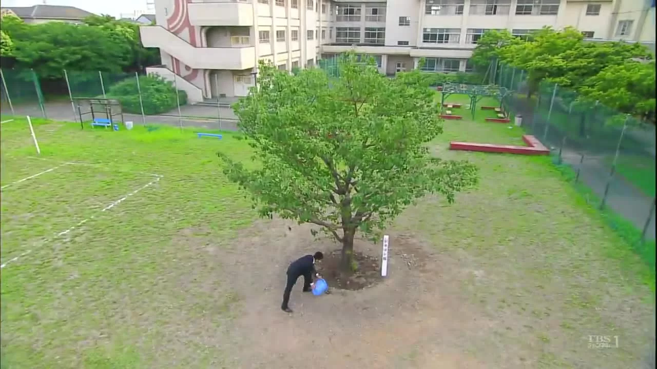 Драгонзакура 2 серия