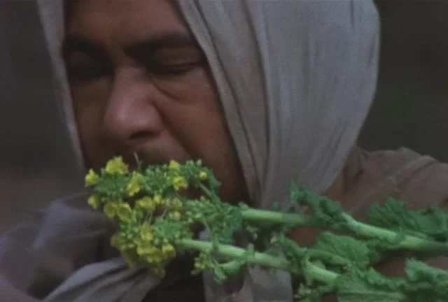 История Затоичи 3 серия