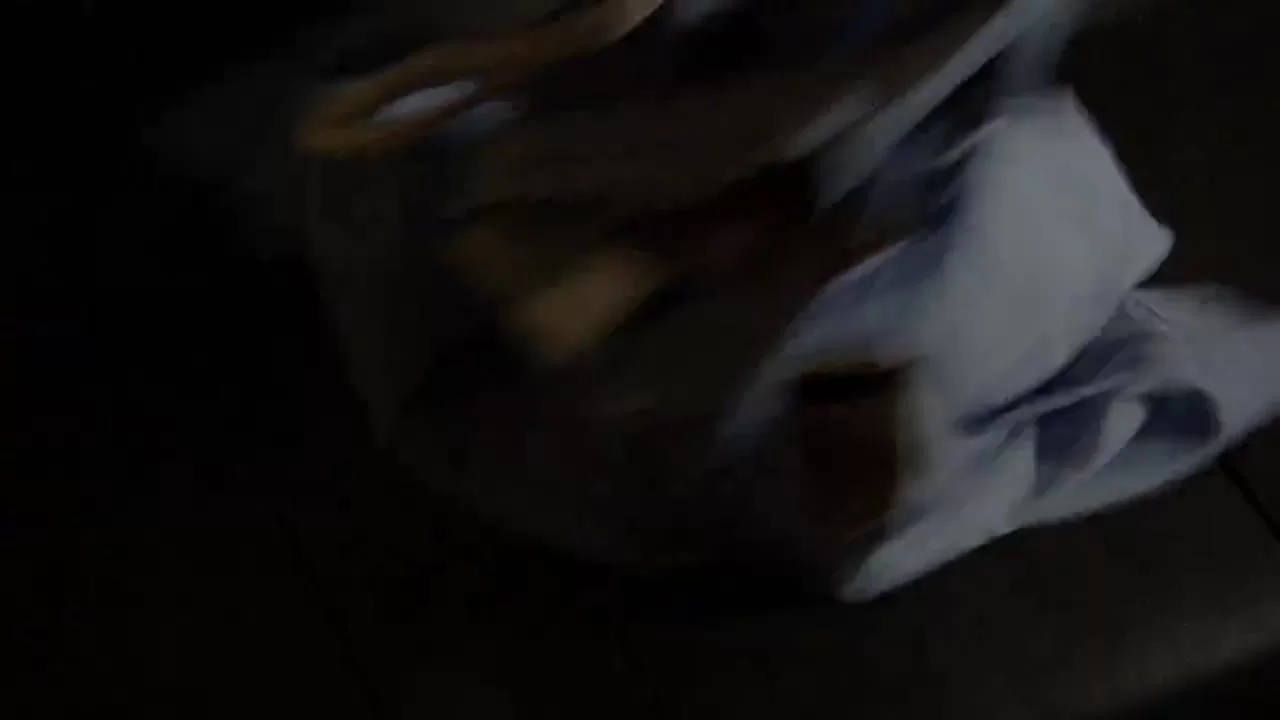 Камен Райдер Озу 1 серия