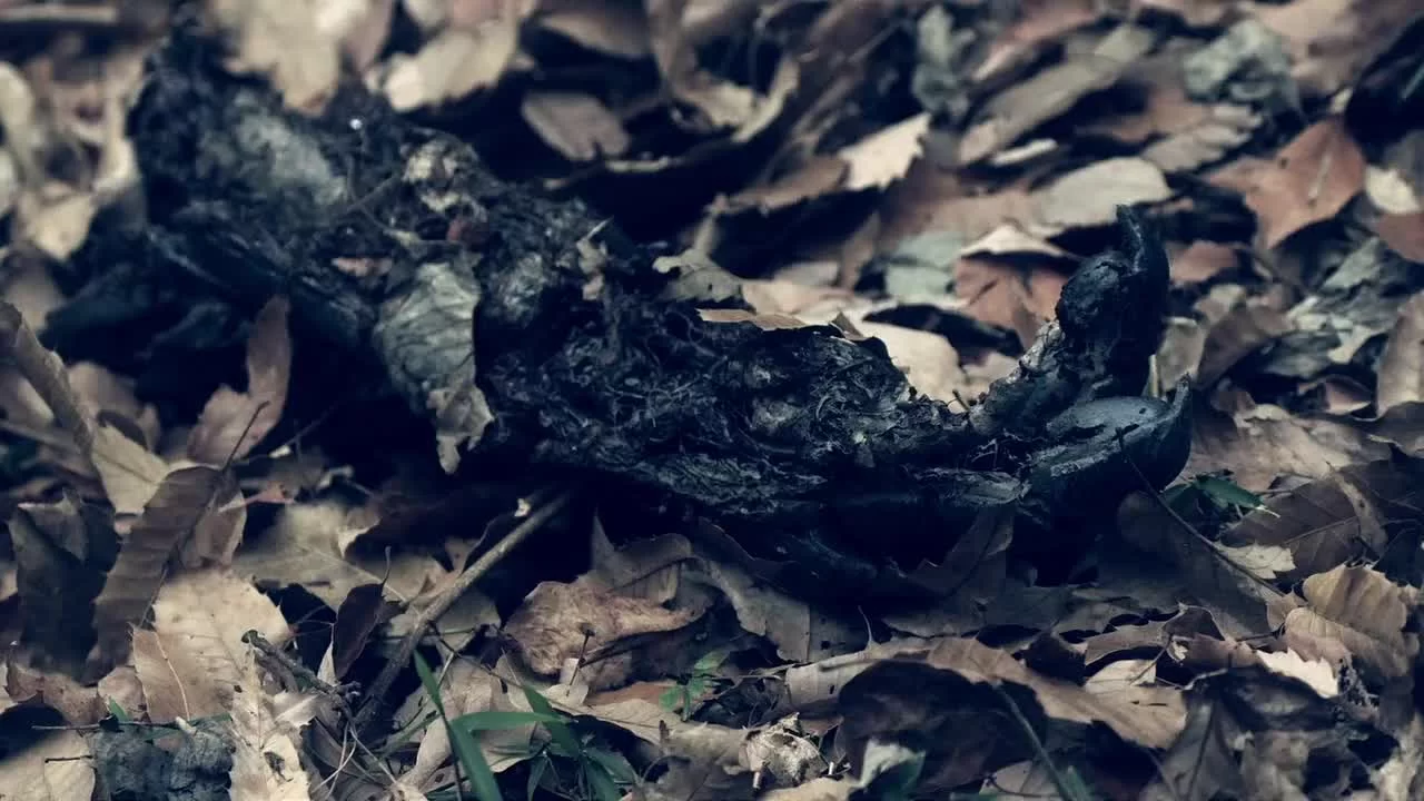 Камен Райдеры Амазоны (2016) 5 серия