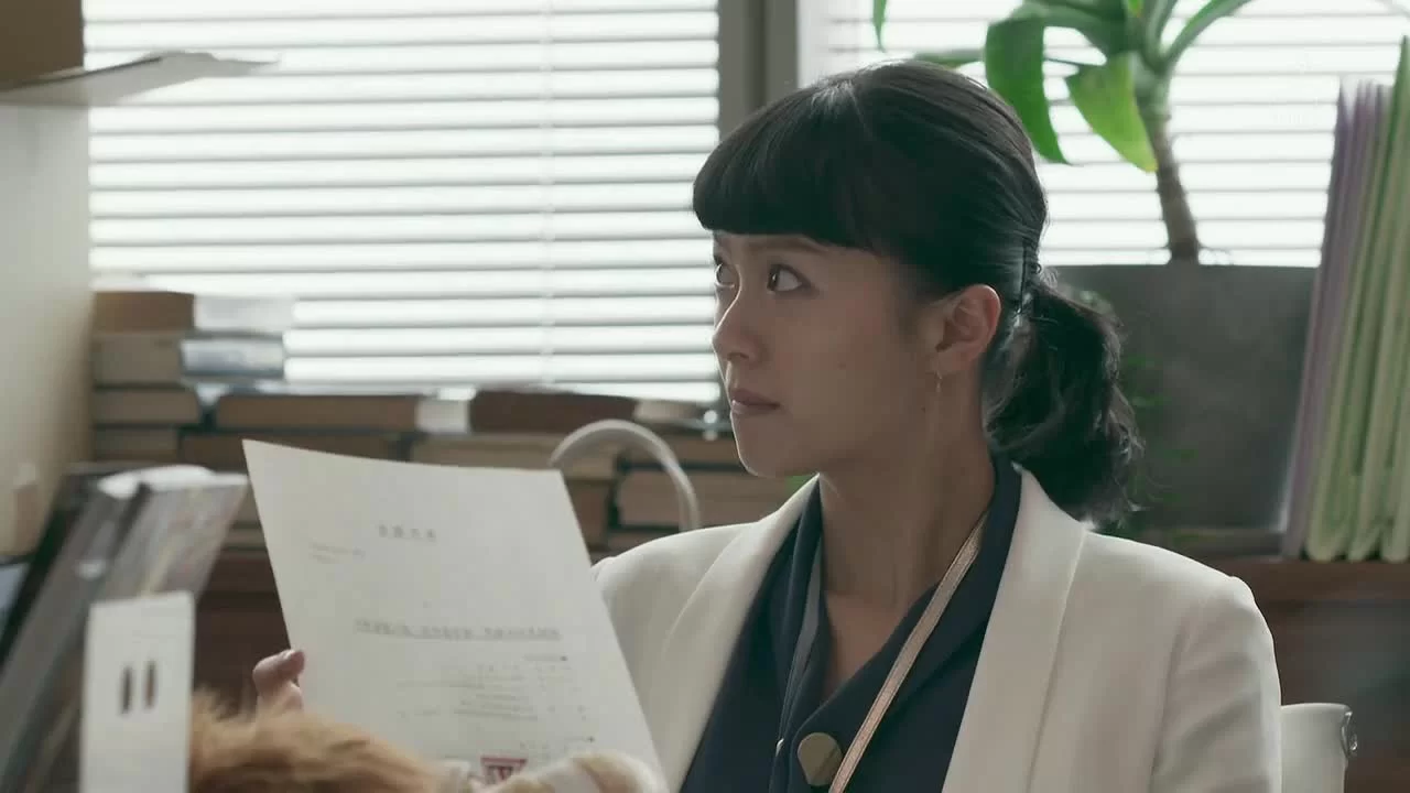 Криминальный адвокат 1 серия