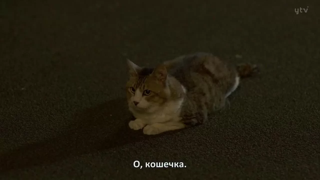 Мужчина с любовью к милым вещичкам (2020) 4 серия