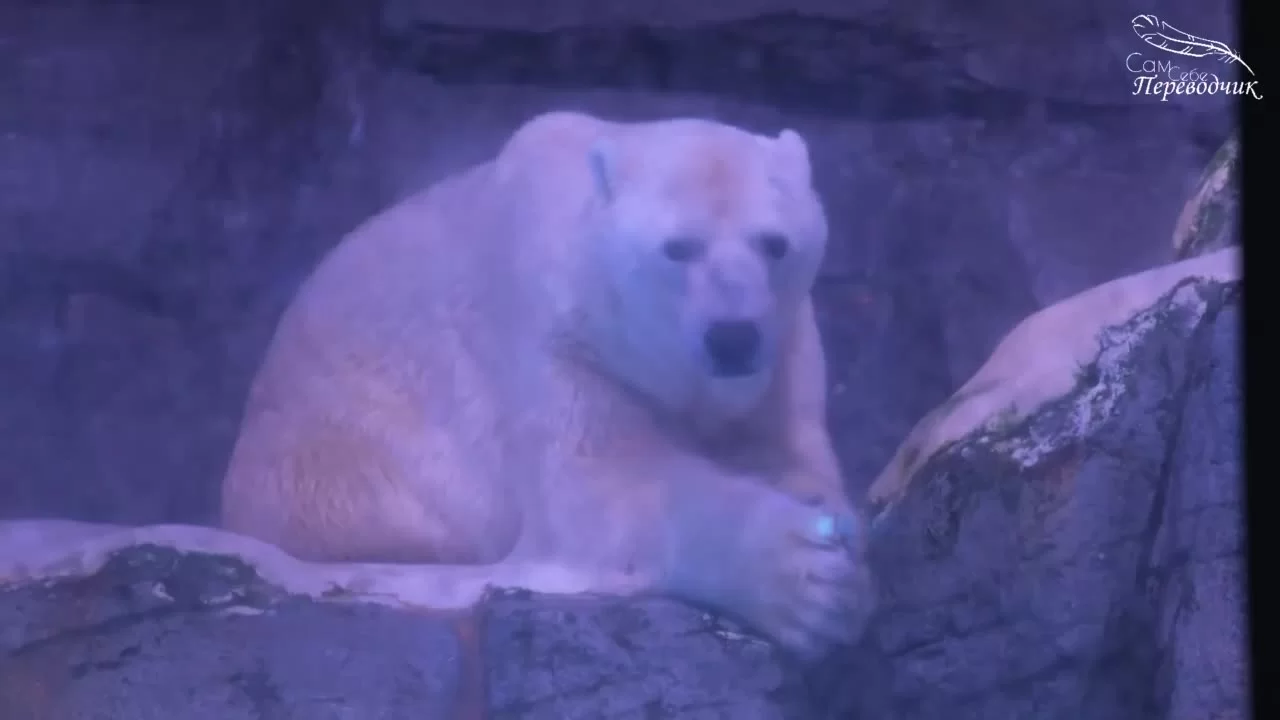 О, мой босс! Любовь - это бонусная книга (2021) 6 серия