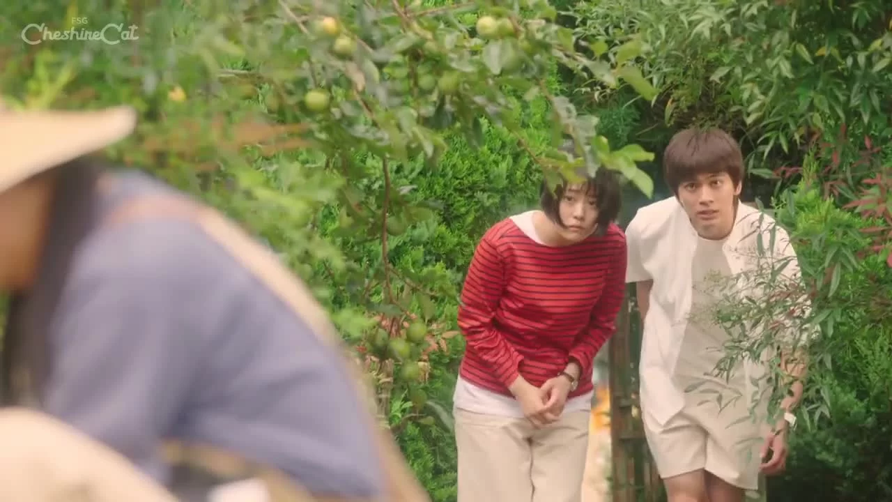 Радужная медицинская карта 4 серия