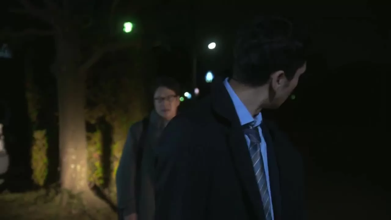 Флаг настоящего преступления 8 серия