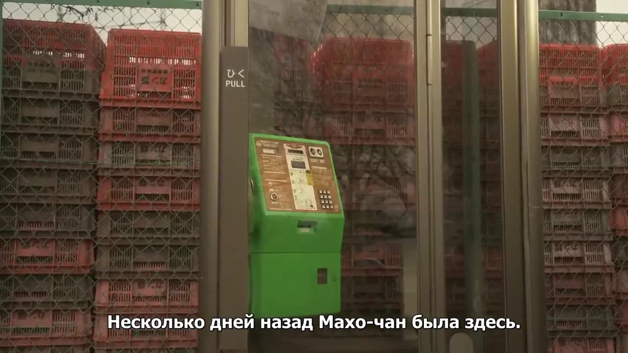 Флаг настоящего преступления 7 серия