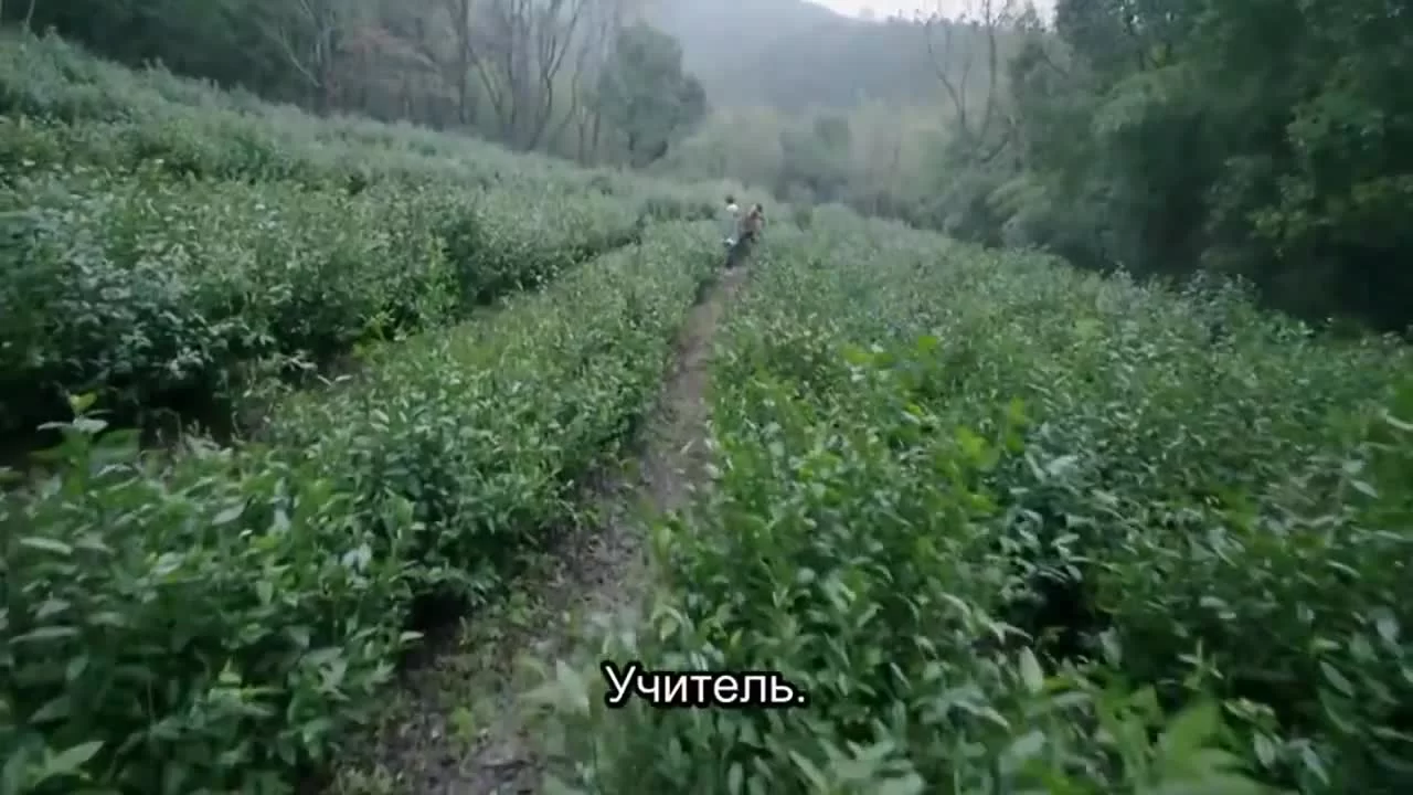 10 лет спустя 13 серия