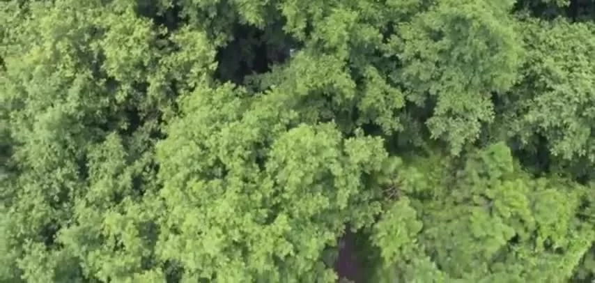 Академия небожителей (2021) 18 серия