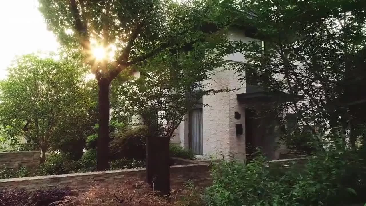 Ассистент Суперзвезды 17 серия