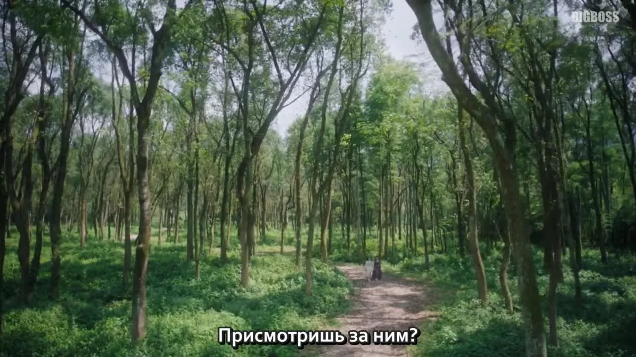 Благословенная девушка 31 серия