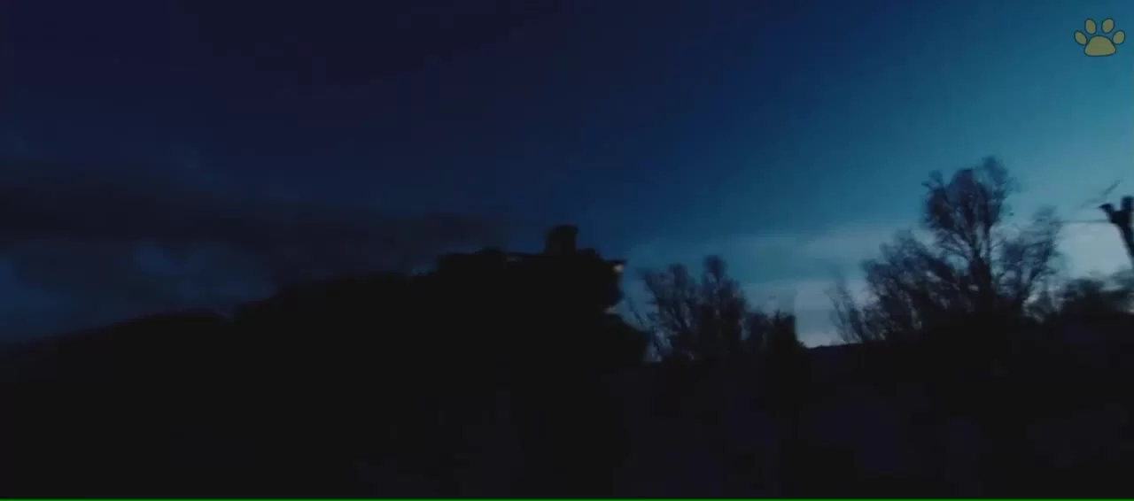 В Пекине всё спокойно 6 серия