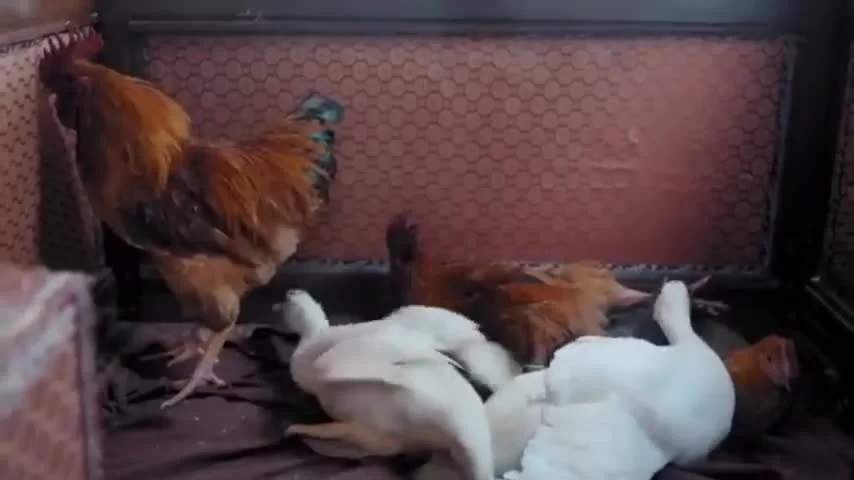 Время летит, и ты здесь 15 серия