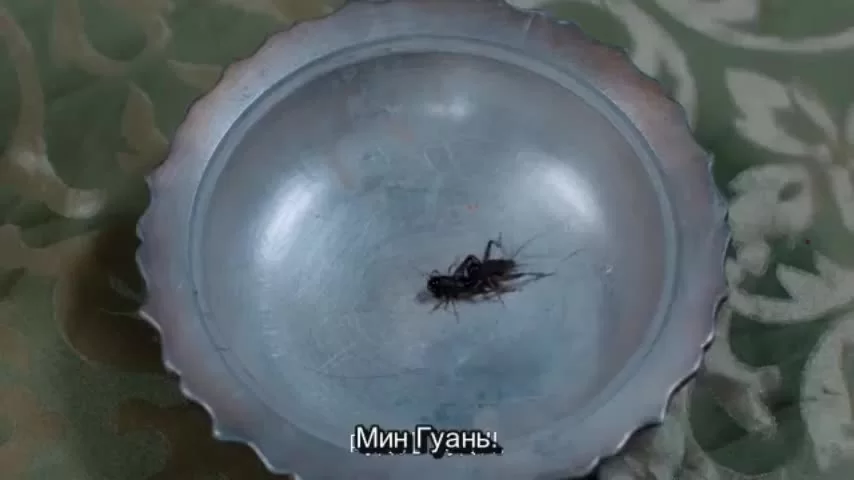 Время летит, и ты здесь 8 серия