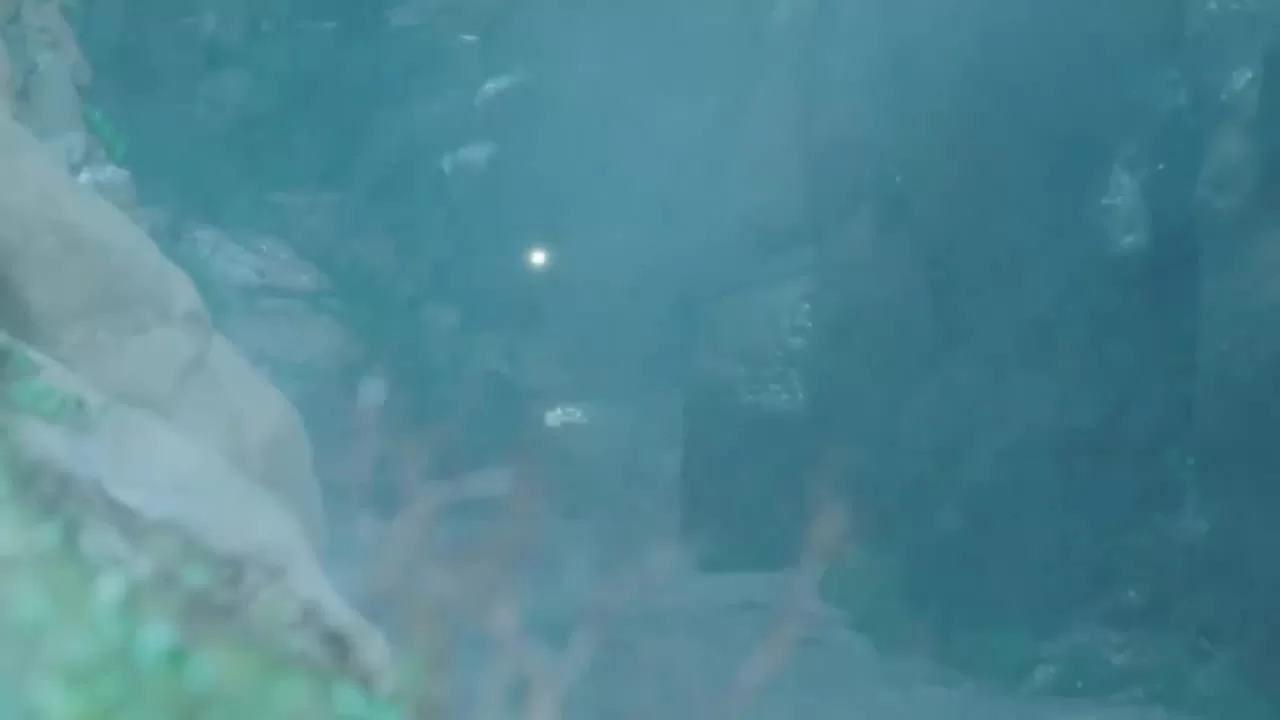 Голубое пламя 26 серия