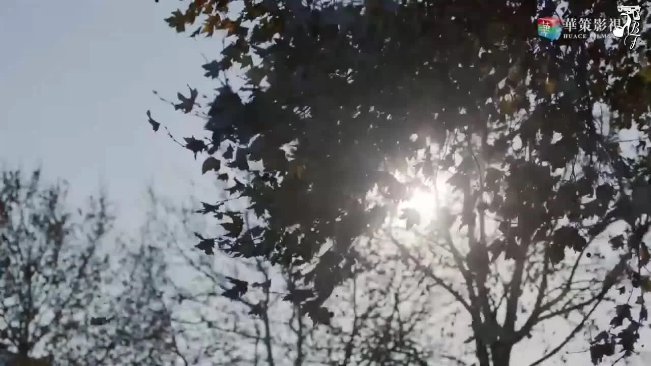 Господин Удача 44 серия