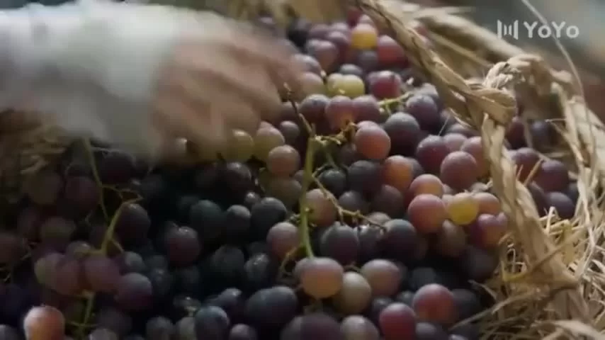 Гурман династии Тан 15 серия