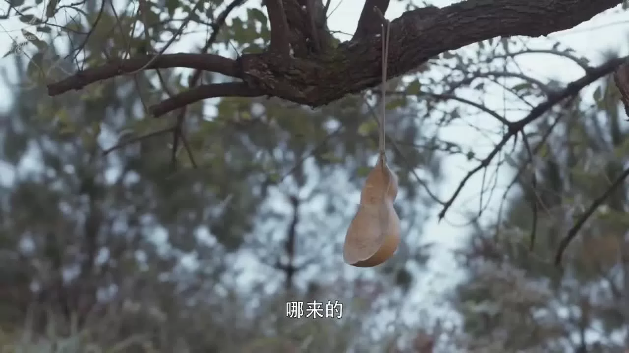 Да будет ночь 50 серия