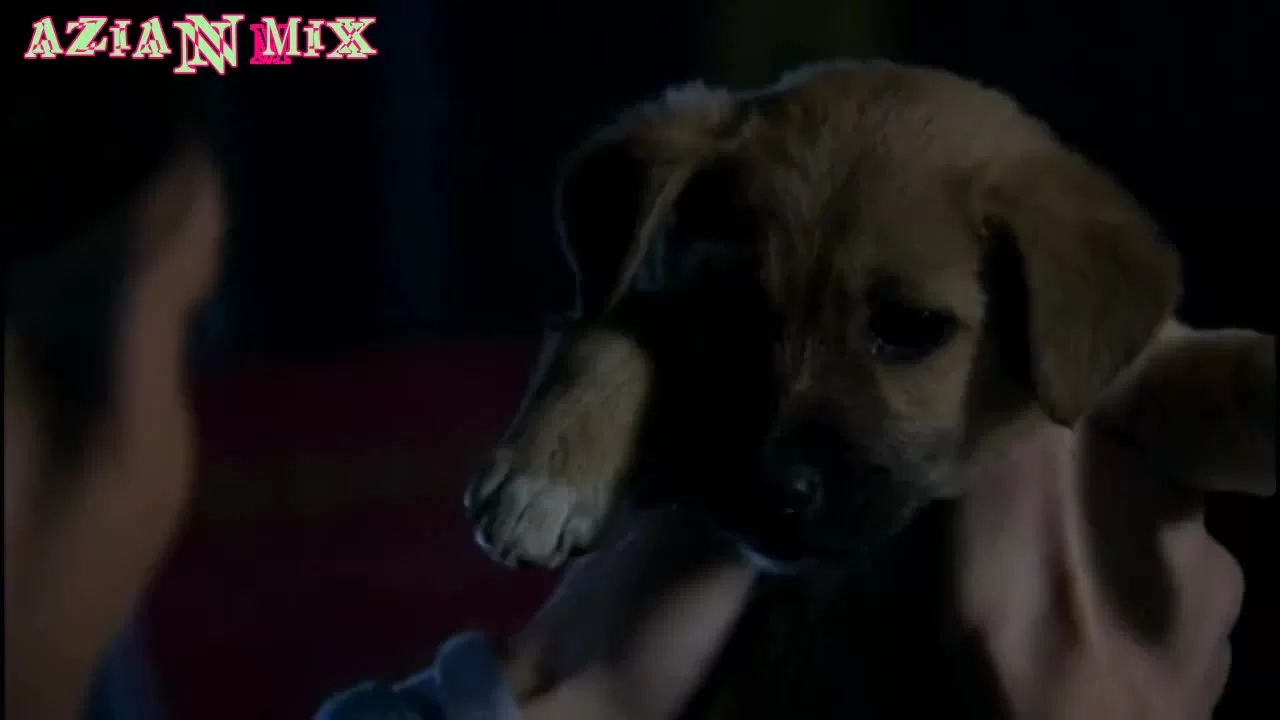 Два частных детектива 19 серия