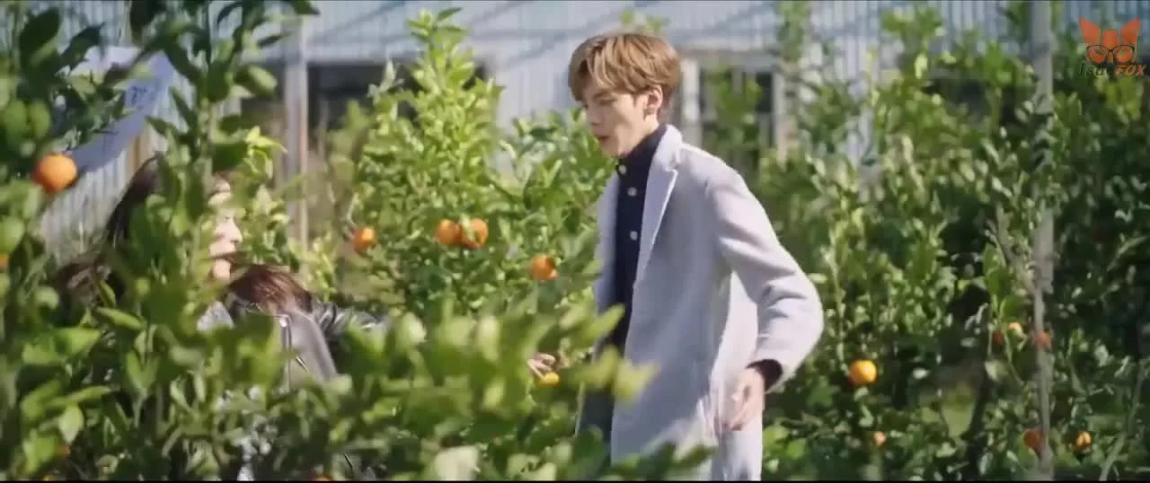 Двойная любовь 9 серия