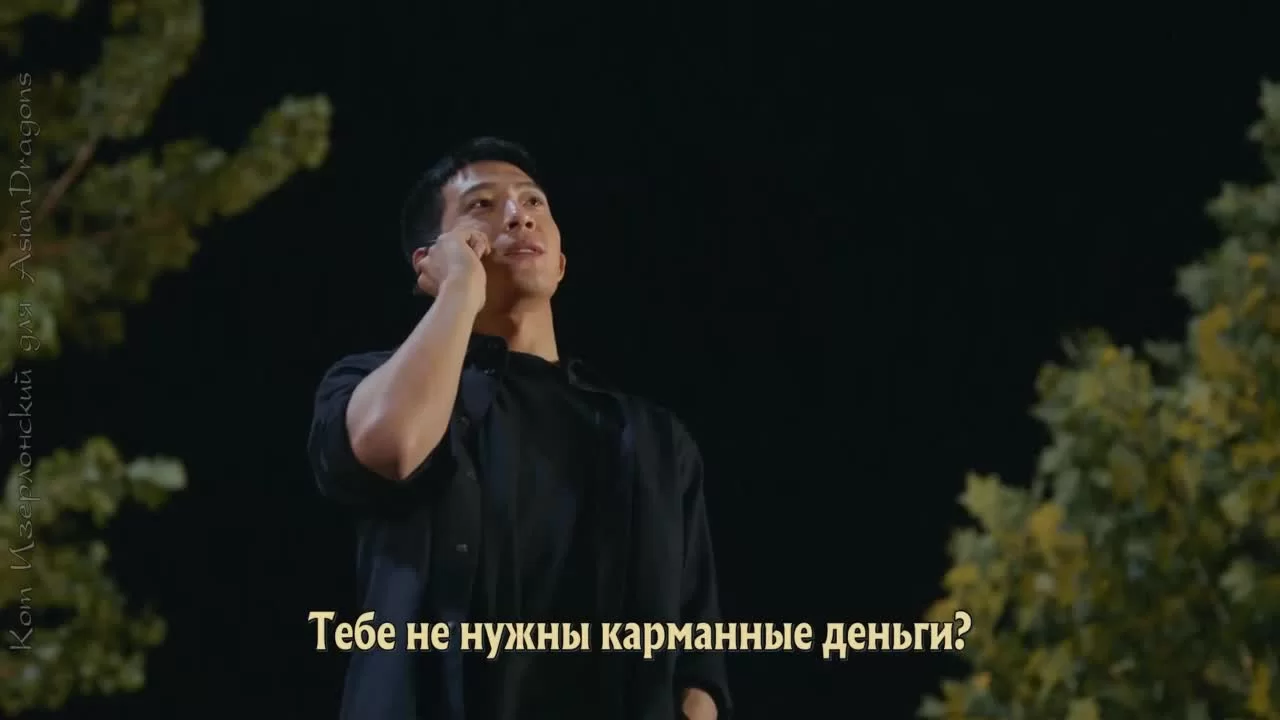 Дорога домой 29 серия