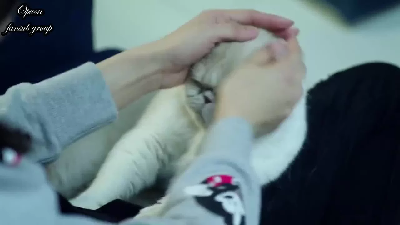 Если бы могли так любить 8 серия