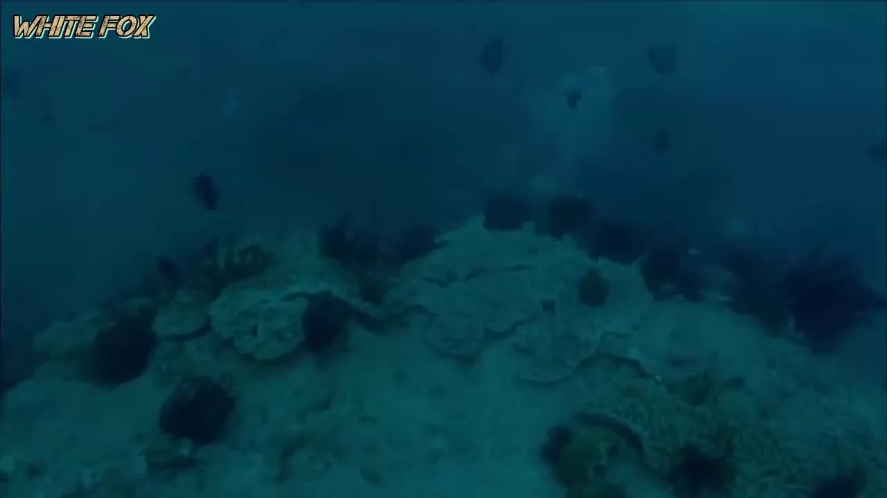 Затерянная гробница 2: Гнев моря (2019) 2 серия