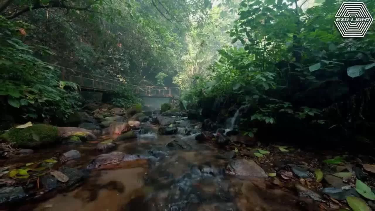 Золотые глаза 25 серия