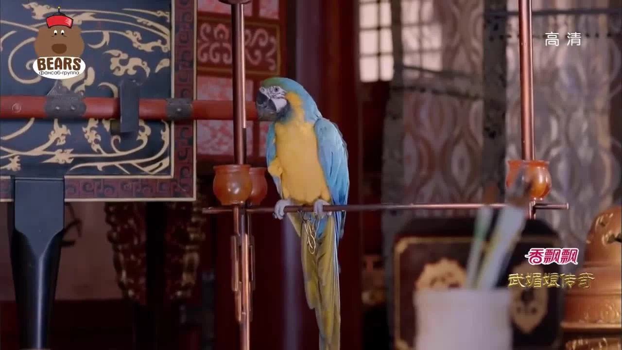 Императрица Китая 7 серия