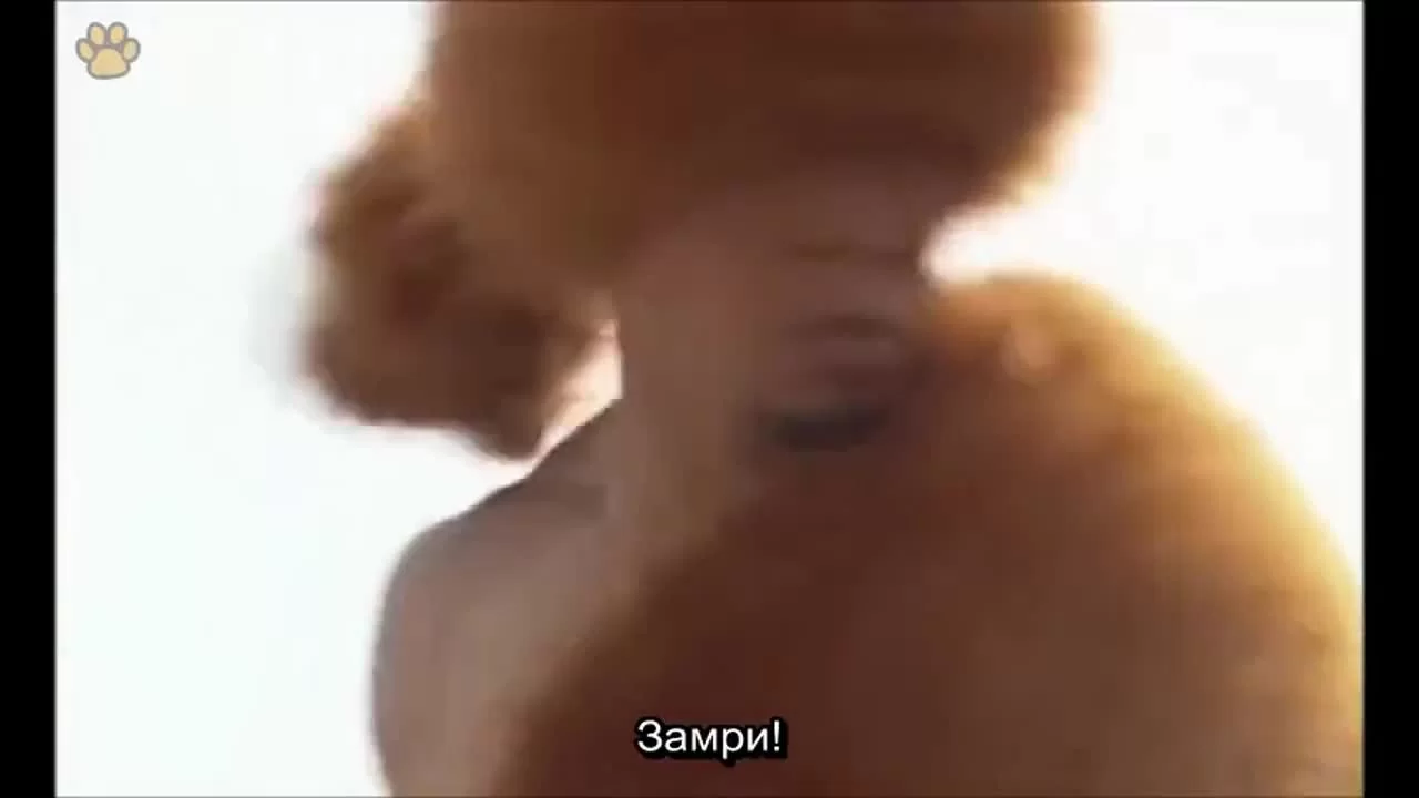 Истории династии Хань: Не отступать 1 серия