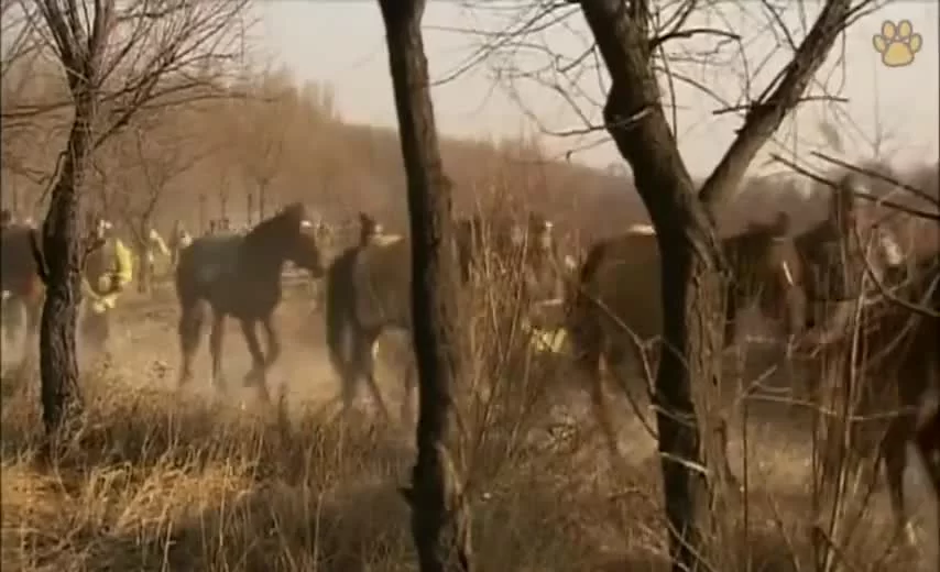 Истории династии Хань: Не отступать 30 серия