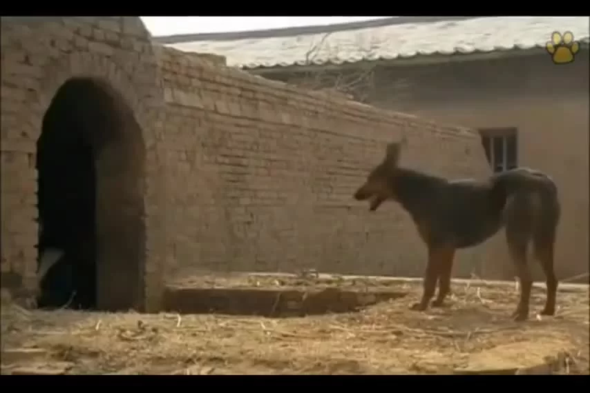 Истории династии Хань: Не отступать 6 серия