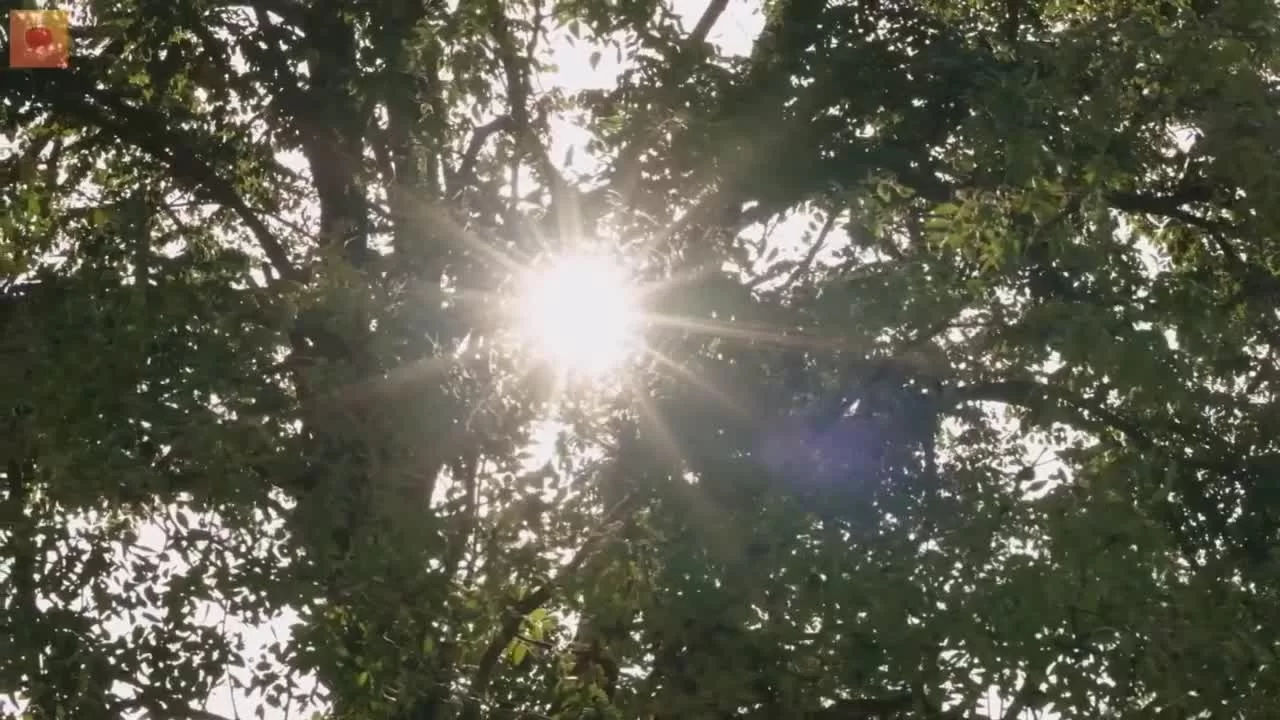 Колыбель 13 серия