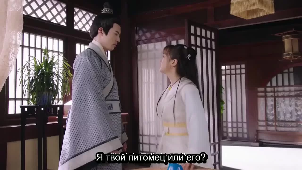 Кошка из палаты по уголовным делам 9 серия