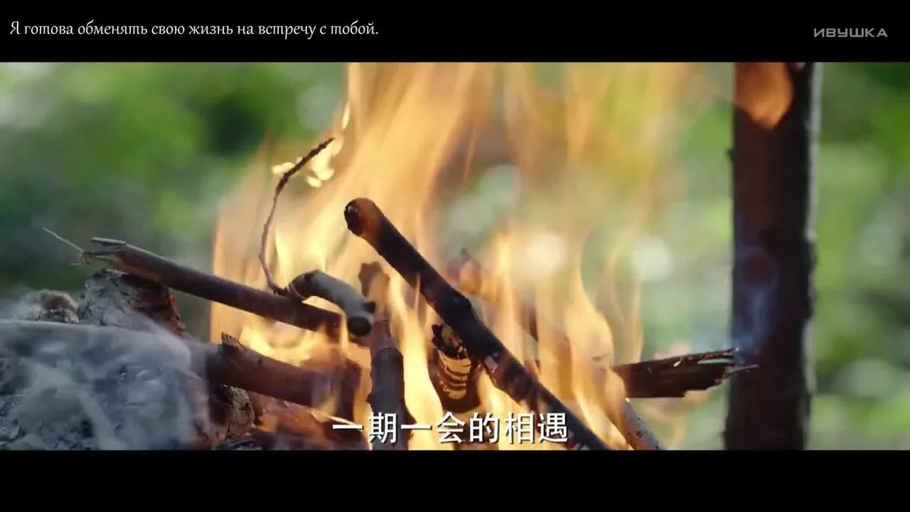 Кровавый роман (2018) 11 серия