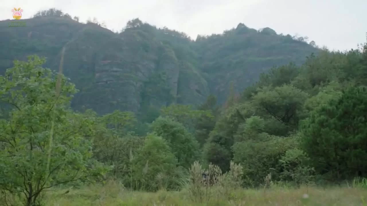 Леди генерала 28 серия